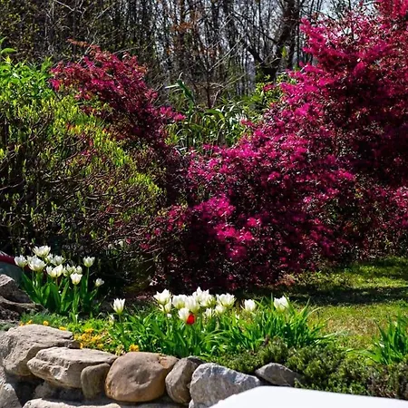 Italian Lakes 14009 *